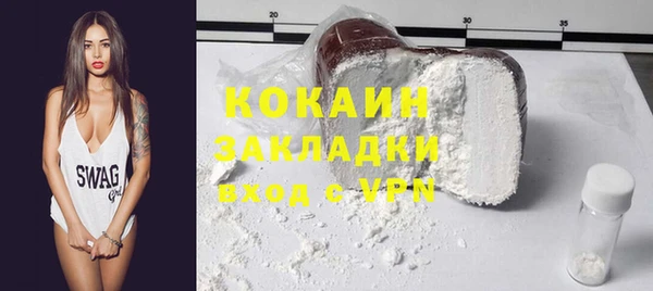 PSILOCYBIN Горняк