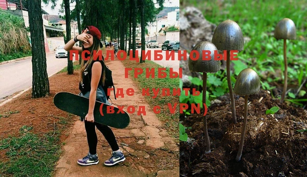 таблы Горно-Алтайск